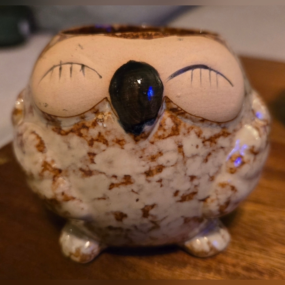 NWOT | Adorable Ceramic Owl Succulent Planter Pots | Set Of 4 | Drainage Holes - Picture 12 of 16